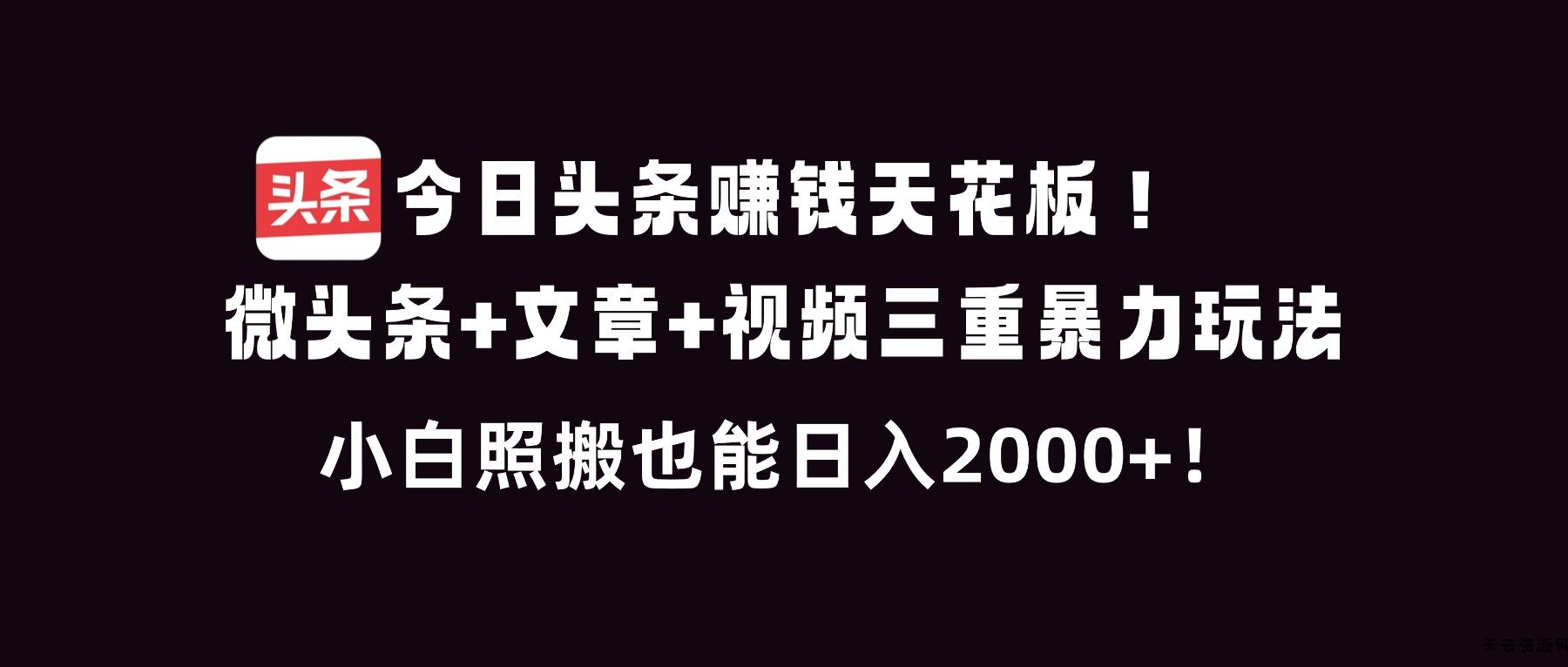今日头条赚钱天花板！微头条+文章+视频三重暴利玩法，小白照搬也能日人2000+-天云资源网