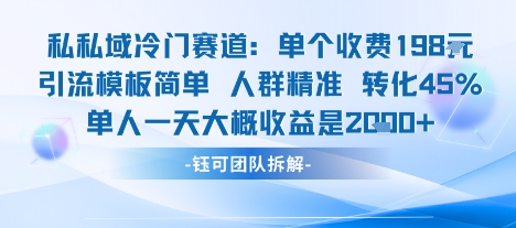 私域冷门赛道单个收费198米引流模板简单人群精准 45%的转化率单人一天大概收益多张-天云资源网