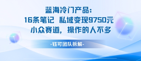 蓝海项目：16条笔记私域变现9750米小众赛道操作的人不多-天云资源网