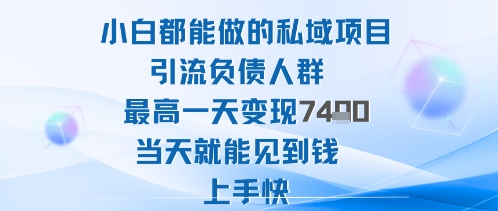 2025年小白都能做的私域项目引流负债人群最高一天变现1k+高变现难度低当天就能见到钱上手快-天云资源网