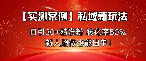 【实测案例】私域新玩法，日引30+精准粉，转化率50%，新人照做也能出单！-天云资源网