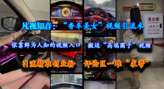 凡视知音：“香车美女”视频引流术，依靠鲜为人知的视频入口，搬运“高端圈子”视频，引流精准创业粉，评论区一堆“求带”-天云资源网