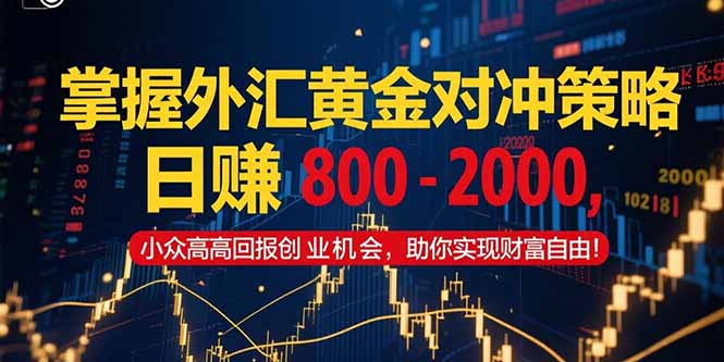 掌握外汇黄金对冲策略，日赚 800 - 2000，小众高回报创业机会，助你实...-天云资源网