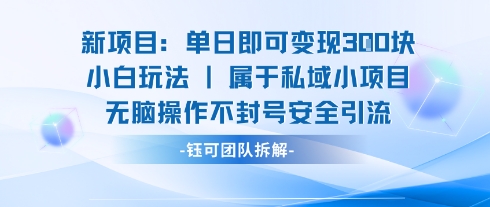 新项目单日即可变现3张的小白玩法无脑操作不封号安全引流-天云资源网