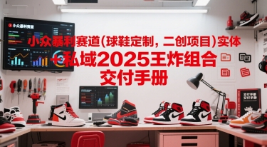 小众暴利赛道(球鞋定制，二创项目)实体+私域2025王炸组合  交付手册-天云资源网