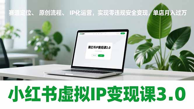 小红书虚拟IP变现课3.0，赛道定位、原创流程、IP化运营，实现零违规安全变现，单店月入过万-天云资源网