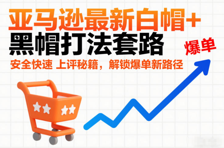 亚马逊最新白帽+黑帽打法套路，安全快速上评秘籍，解锁爆单新路径-天云资源网