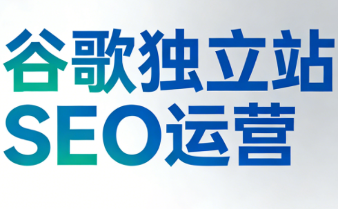 谷歌独立站SEO运营(更新2026)-天云资源网