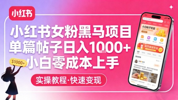 小红书女粉黑马项目，单篇帖子日入1k+，小白零成本上手-天云资源网