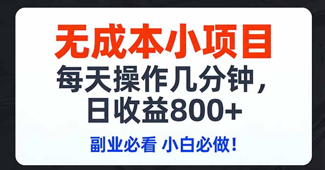 无成本小项目,每天操作几分钟,日收益800+ 副业必看 小白必做！-天云资源网
