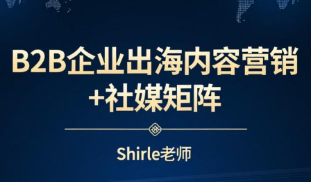 shirle老师·B2B企业出海内容营销+社媒矩阵-天云资源网