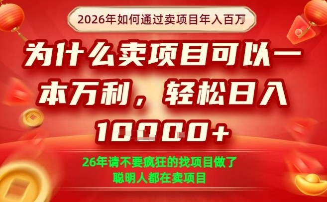 一单净利润1K+，26年想年入100个W，死磕卖项目就够了【揭秘】-天云资源网