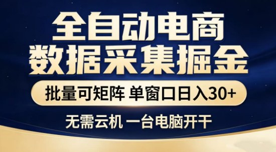 独家电商数据全自动采集项目，批量可矩阵，单窗口轻松日入3张+【揭秘】-天云资源网