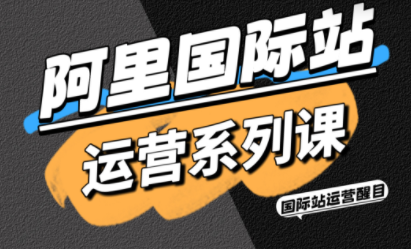 醒目老师·阿里国际站运营系列课(更新3月)-天云资源网