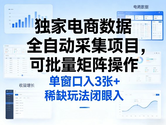 独家电商数据全自动采集项目，可批量矩阵操作，单窗口日入3张+，稀缺玩法闭眼入【揭秘】-天云资源网