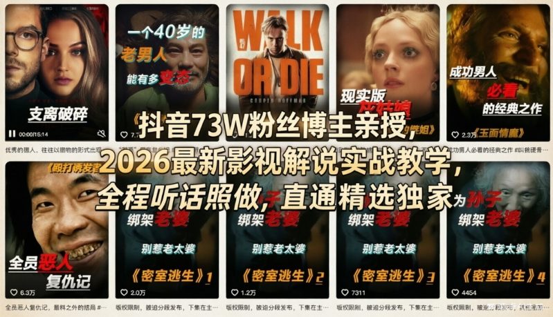 抖音73W粉丝博主亲授，2026最新影视解说实战教学，全程听话照做，直通精选独家-天云资源网