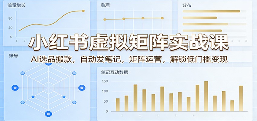小红书虚拟矩阵实战课：AI选品搬款，自动发笔记，矩阵运营，解锁低门槛变现-天云资源网