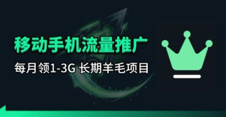 手机流量领取推广_每月一轮，刚需类的长期项目-天云资源网