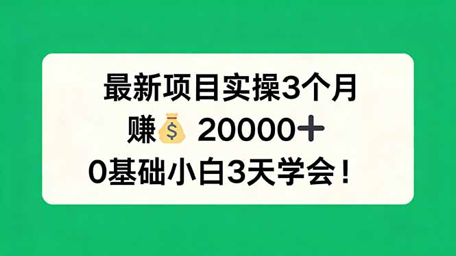 最新项目实操3个月，赚钱20000+，0基础小白3天学会！-天云资源网