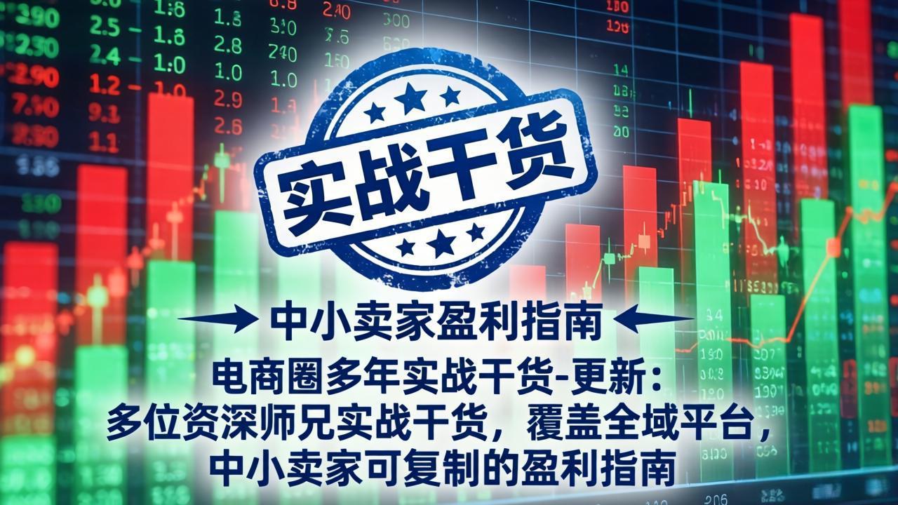 电商圈多年实战干货-更新4月:多位资深师兄实战干货,覆盖全域平台,中小卖家可复制的盈利指南-天云资源网